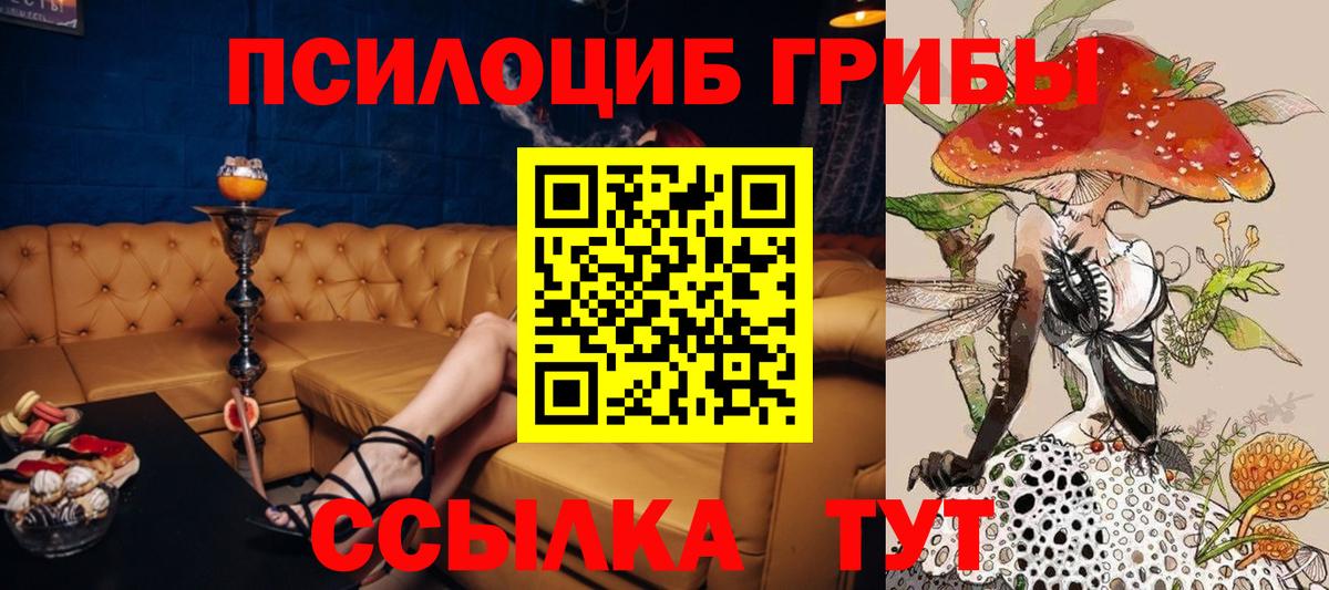 Галлюциногенные грибы GOLDEN TEACHER Железногорск