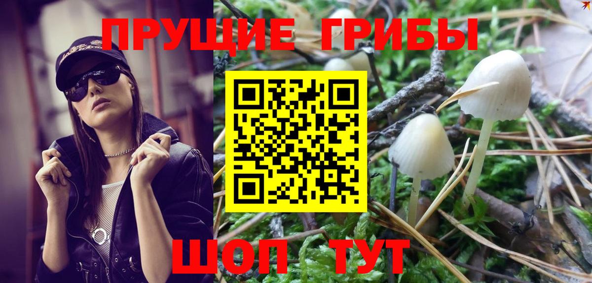 Железногорск  Галлюциногенные грибы Psilocybe  где купить   Вход с VPN 